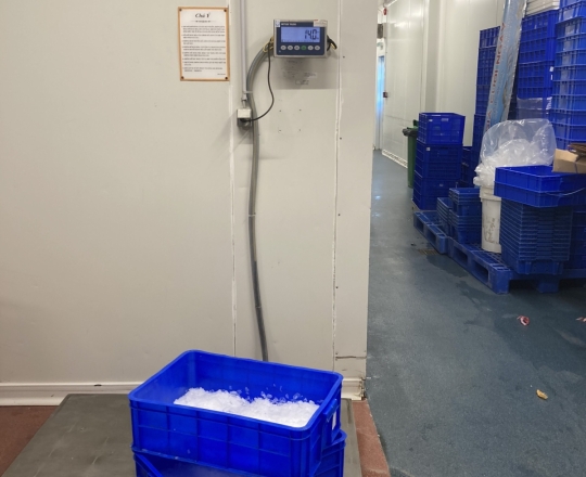 Sửa chữa máy đá vảy siêu thị