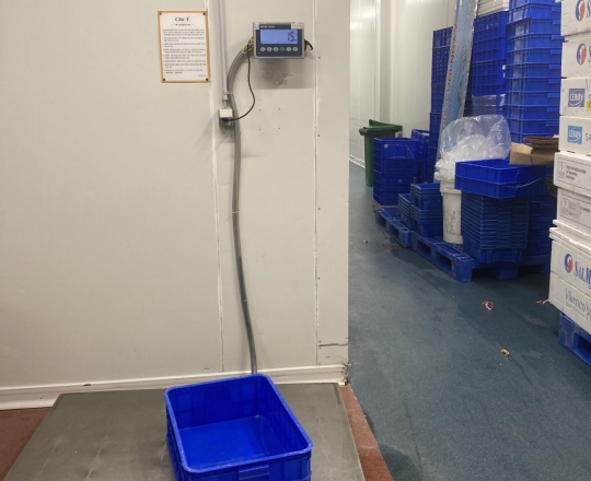 Sửa chữa máy đá vảy siêu thị