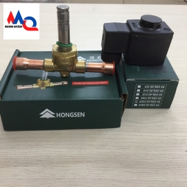 Van điện từ - Coil HONGSEN